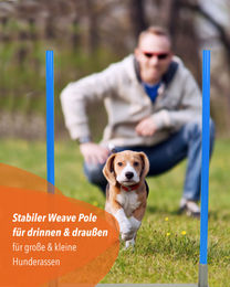 Sportikel24 Verbindungsstück für 2by2 Weave Poles aus Metall für Agility-Geräte in Blau und Silber – Bild 1 von 3
