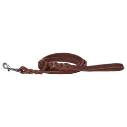 Produktbild von Spotted! Pro Leder Führleine für Hunde mit Bolzenhaken Braun 180 cm - 180 cm