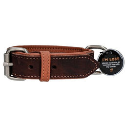 Spotted! Pro Lederhalsband für Hunde mit QR-Pin und Magnetverschluss braun 50 cm – Bild 1 von 4