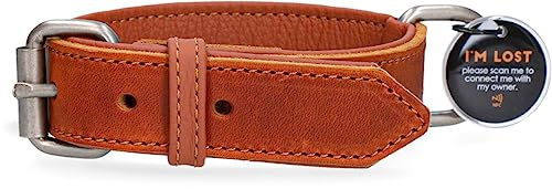 Spotted! PRO Lederhalsband für Hunde mit QR-Pin und Magnetverschluss wasserdicht Größe S Cognac/Hellbraun – Bild 1 von 3