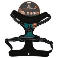 Produktbild von Spotted! Pro No-Pull Hundegeschirr mit QR-Token wasserdicht grün Größe XL