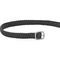 Produktbild von Sprenger Sporenriemen aus Nylon in Schwarz mit silberner Schnalle