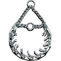 Produktbild von Sprenger Torquator Erziehungshalsband für Hunde aus Metall in Silber