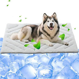 Srvillg Selbstkühlende Hundematte aus Velours in Grau für erwachsene Hunde – Bild 1 von 1