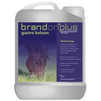 Produktbild von St. Hippolyt Brandon plus gastro Balsam 2,5 Liter - 2,5 l