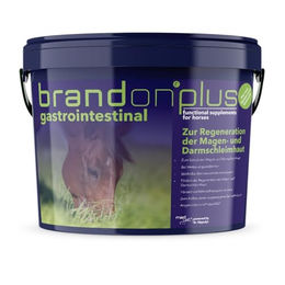 St. Hippolyt Brandon Plus Gastrointestinal Ergänzungsfutter mit Probiotika für Magen-Darm-Gesundheit 3 kg - 3 kg – Bild 1 von 3
