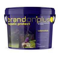 St. Hippolyt Brandon Plus Hepatic Protect Leberfutter für Pferde 3 kg - 3 kg – Bild 1 von 3