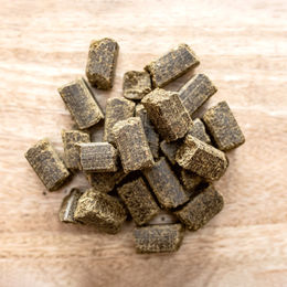 St. Hippolyt Glyx Lobs Trainingssnacks für Pferde zur Gewichtskontrolle 10 kg - 10 kg – Bild 1 von 4