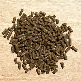 St. Hippolyt Hefekultur Probiotika zur Verdauungshilfe für Pferde 2,5 kg - 2,5 kg – Bild 1 von 3