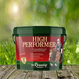 St. Hippolyt High Performer Ergänzungsfutter für Pferde 10 kg - 10 kg – Bild 1 von 3
