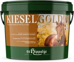 St. Hippolyt Kieselgold Ergänzungsfutter für Pferde als Haut-Fell-Supplement Pulver 1000g – Bild 1 von 2
