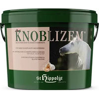 Produktbild von St. Hippolyt Knoblizem Ergänzungsfutter zur Verdauungshilfe