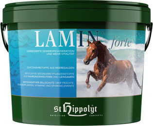 St. Hippolyt Lamin Forte Nahrungsergänzung für Pferde Senior 3 kg - 3 kg – Bild 1 von 10