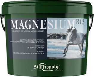 St. Hippolyt Magnesium B12 Ergänzungsfutter für Pferde zur Beruhigung und Muskelunterstützung 1000g – Bild 1 von 2