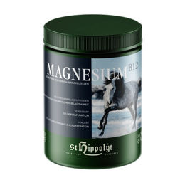 St. Hippolyt Magnesium B12 Nahrungsergänzung 1 kg - 1 kg – Bild 1 von 3