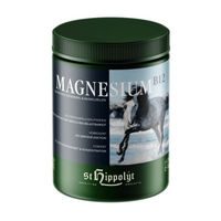 Produktbild von St. Hippolyt Magnesium B12 Nahrungsergänzung 1 kg - 1 kg