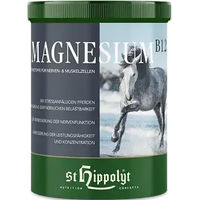 Produktbild von St. Hippolyt Magnesium B12 Nahrungsergänzung für Nervenfunktion und Muskulatur