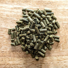 St. Hippolyt Movicur Bindegewebskur Gelenk-Supplement für Pferde 1000g – Bild 1 von 1
