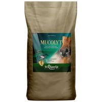 Produktbild von St. Hippolyt Mucolyt Atemwegskur für Pferde 25 kg - 25 kg