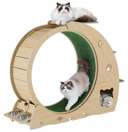 StarTech Katzenlaufrad aus Naturholz als 4-in-1 Aktivitätszentrum mit Kratzfläche und Schlafplatz 140 cm – Bild 1 von 3