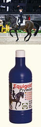 Stassek Equigold Premium Pferdeshampoo zur Fellpflege 750 ml - 750 ml – Bild 1 von 2