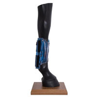 Produktbild von Stassek EQUITHERM Thermo-Gamasche zum Kühlen und Wärmen für Pferde - 1 Stk.