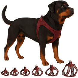 Step&Go Bento Flamingo Harness Hundegeschirr XXL für große Hunde in Aubergine/Lila aus Mesh – Bild 1 von 7