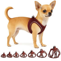 Produktbild von Step&Go Bento Flamingo Hundegeschirr für kleine Hunde und Welpen XXS Lila Mesh