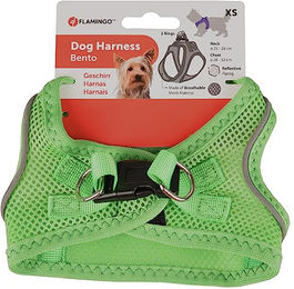 Step&GO BENTO Hundegeschirr Grün XS 30-32cm – Bild 1 von 1