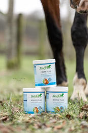 Stiefel Amino Plus Nahrungsergänzung für Pferde zur Unterstützung des Muskelaufbaus Pulver 1kg - 1 kg – Bild 1 von 9