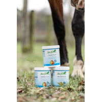 Produktbild von Stiefel Amino Plus Nahrungsergänzung für Pferde zur Unterstützung des Muskelaufbaus Pulver 1kg - 1 kg