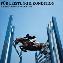 Stiefel E-Plus Nahrungsergänzung für Pferde mit Vitamin E, Selen und Lysin als Pellets 1 kg - 1 kg – Bild 1 von 5