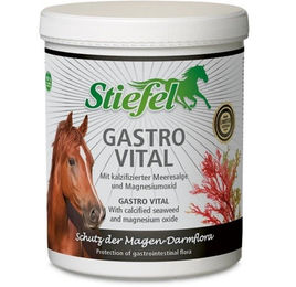Stiefel Gastro Vital Ergänzungsfutter für Pferde zur Unterstützung von Magen und Darm 1 kg - 1 kg – Bild 1 von 4