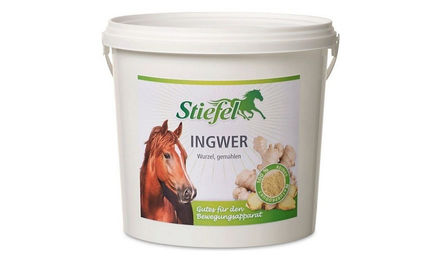 Stiefel Ingwer Pulver für Pferde 1 kg - 1 kg – Bild 1 von 4