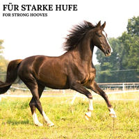 Produktbild von Stiefel Zink Plus Mineralfutter für Pferde zur Unterstützung von Haut, Fell und Immunsystem 3 kg - 3 kg
