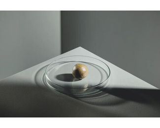 StreamBiz Artemia Paste Hauptfutter für Tropenfische 70 g - 70 g – Bild 1 von 2