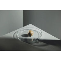 Produktbild von StreamBiz Artemia Paste Hauptfutter für Tropenfische 70 g - 70 g