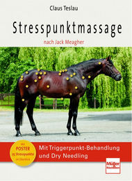 Stresspunktmassage nach Jack Meagher mit Triggerpunkt-Behandlung und Dry Needling von Claus Teslau – Bild 1 von 2