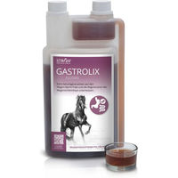 Produktbild von STRÖH GASTROLIX Magen-Darm Ergänzung 1000g Flüssig