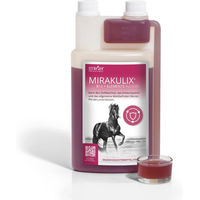 Produktbild von STRÖH MIRAKULIX Immunbooster zur Unterstützung von Immunsystem, Atemwegen sowie Haut und Fell
