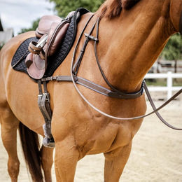 Produktbild von Stübben Brustblatt aus Leder wattiert Schwarz für Warmblut