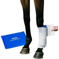 Produktbild von Stübben Kryo Kompakt Horse Set Kältetherapie Gamaschen aus Polyester Blau