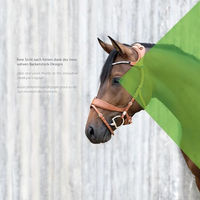 Produktbild von Stübben Trensenzaum Freedom II mit Slide&Lock für Warmblut in Schwarz aus Leder
