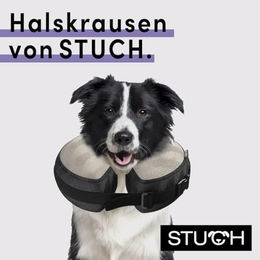 STUCH Aufblasbare Halskrause Schutzkragen zum Leckschutz Grau Größe S – Bild 1 von 3