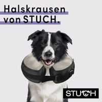 Produktbild von STUCH Aufblasbare Halskrause Schutzkragen zum Leckschutz Grau Größe S