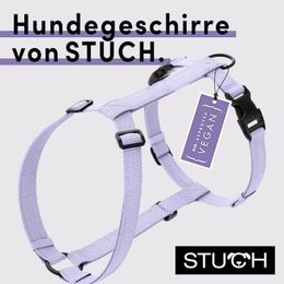 STUCH Hundegeschirr PureControl H-Form Vegan aus Nylon in Flieder XS – Bild 1 von 4
