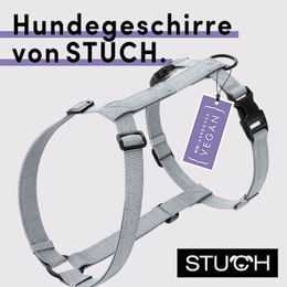 STUCH Hundegeschirr PureControl Vegan Grau Größe S – Bild 1 von 2
