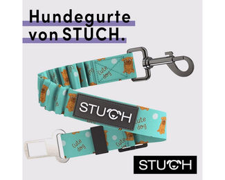 STUCH Universeller Bungee Sicherheitsgurt für Hunde und Katzen aus Nylon in Türkis OneSize – Bild 1 von 8