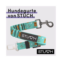 Produktbild von STUCH Universeller Bungee Sicherheitsgurt für Hunde und Katzen aus Nylon in Türkis OneSize