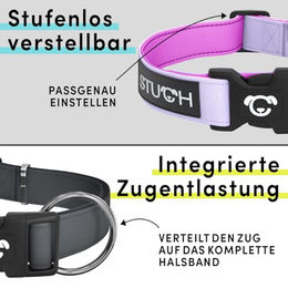 STUCH Veganes Hundehalsband aus Nylon gepolstert und verstellbar Beige Größe L PETA Zertifiziert - 1 Stk. – Bild 1 von 5